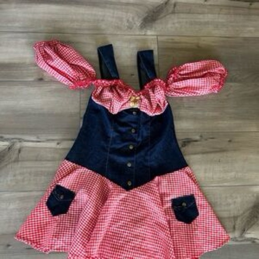 Charming Red and Blue‎ Gingham Halloween Dress